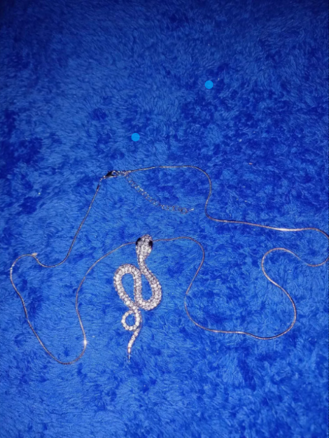 White and Black Austrian Crystal Snake Pendant with Chain